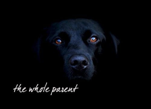 what is the black dog of depression