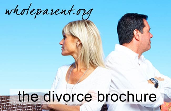 The Divorce Brochure : Showing You How the *Future* Looks | The Whole ...